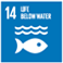 SDG14