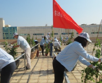 Workplace greening efforts