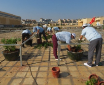 Workplace greening efforts