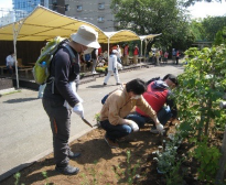 Flower planting, weeding, and cleaning up fallen leaves at Rakujuen Park and Kohama Pond