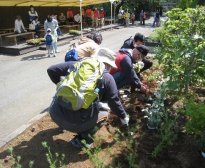 Flower planting, weeding, and cleaning up fallen leaves at Rakujuen Park and Kohama Pond