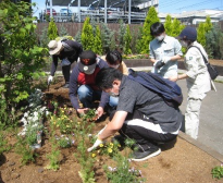 Flower planting, weeding, and cleaning up fallen leaves at Rakujuen Park and Kohama Pond