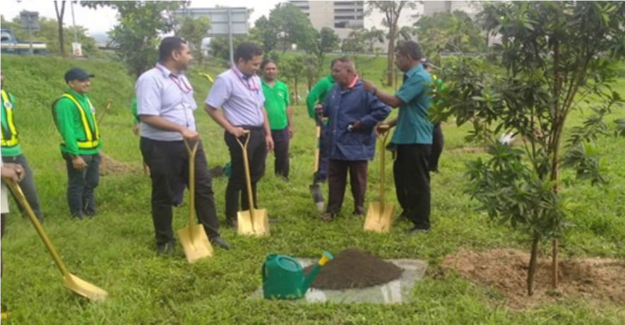 Tree planting