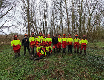 Forest clean-up and maintenance activities at and around our company