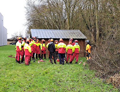 Forest clean-up and maintenance activities at and around our company