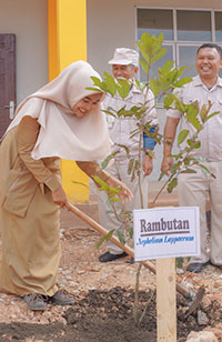 Tree planting