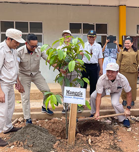 Tree planting