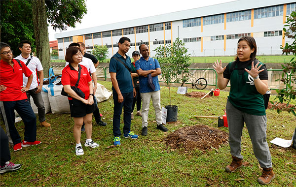 Tree planting