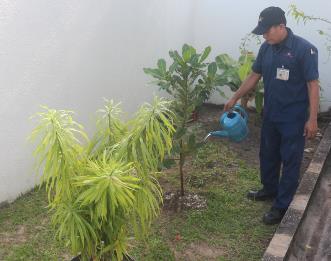 Use of rainwater