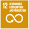 SDG12