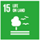 SDG15