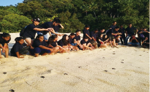 Protection of green turtles (Toshiba Tec Malaysia Manufacturing Sdn. Bhd.)